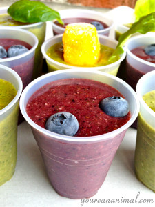 smoothie3