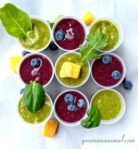 smoothie9