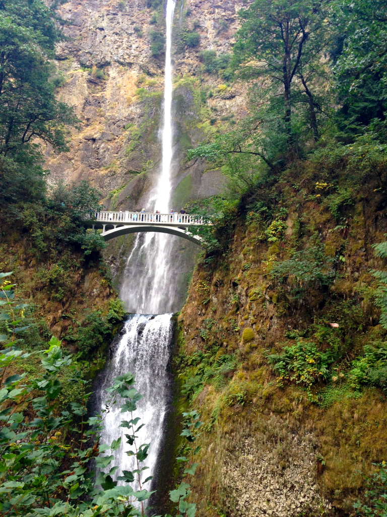 falls in portland oregon