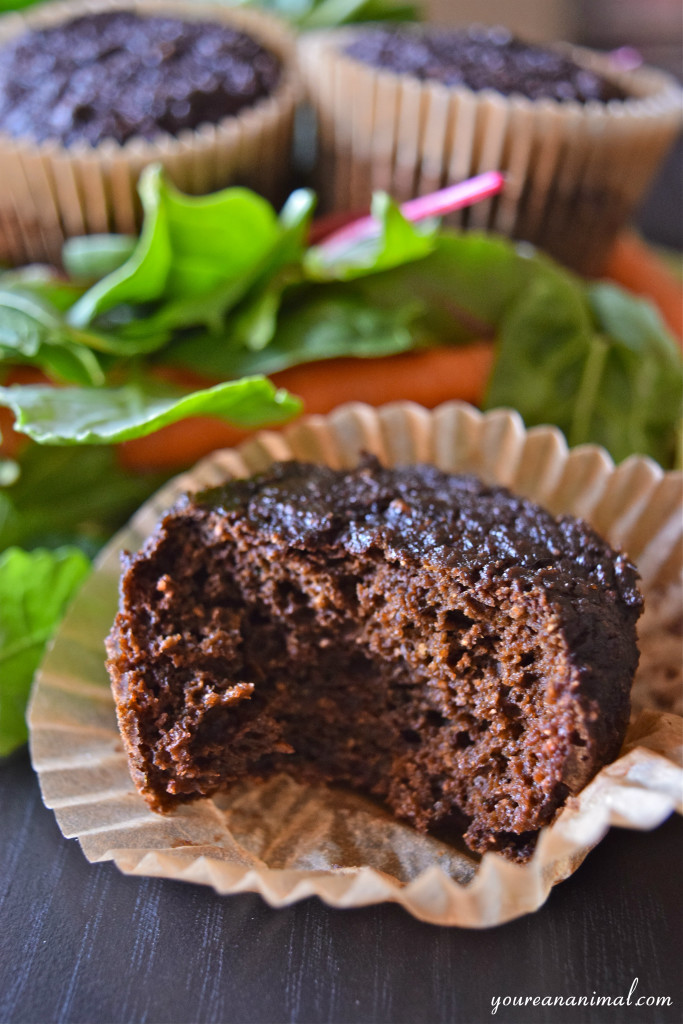 Hidden Veggie Muffins (Gluten-Free, Grain-Free, Nut-Free, White Sugar-Free). The best way to sneak in some extra veggies is with chocolate!