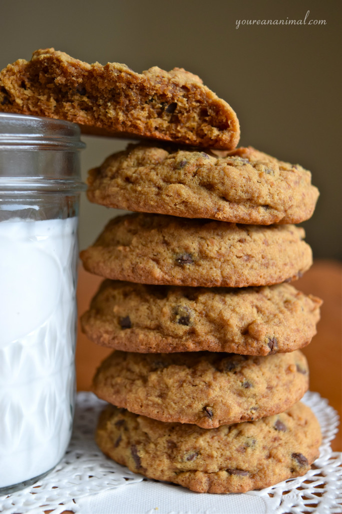 Gluten-Free Grain-Free Nut-Free Ultimate Chocolate Chip Cookies