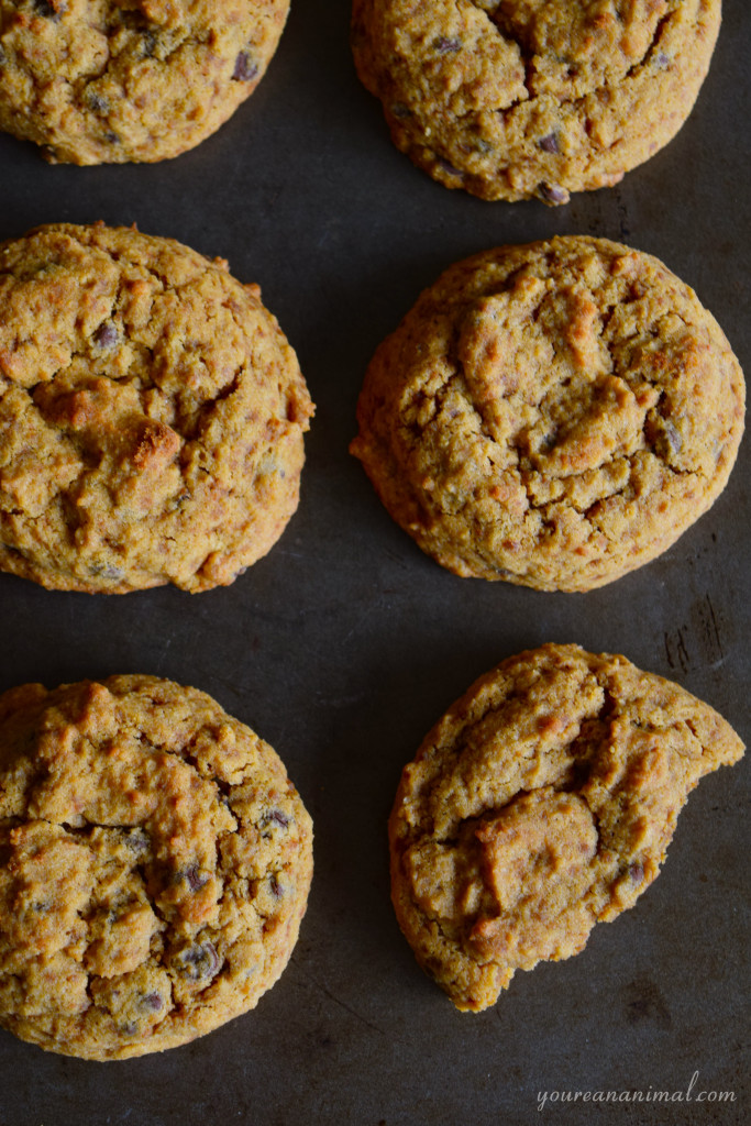 Gluten-Free Grain-Free Nut-Free Ultimate Chocolate Chip Cookies