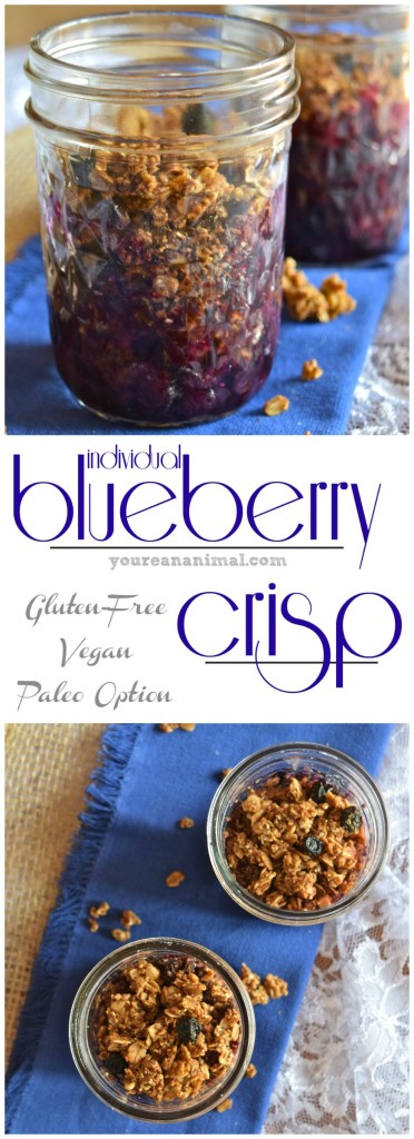 Gluten Free Vegan Paleo Individual Blueberry Crisp