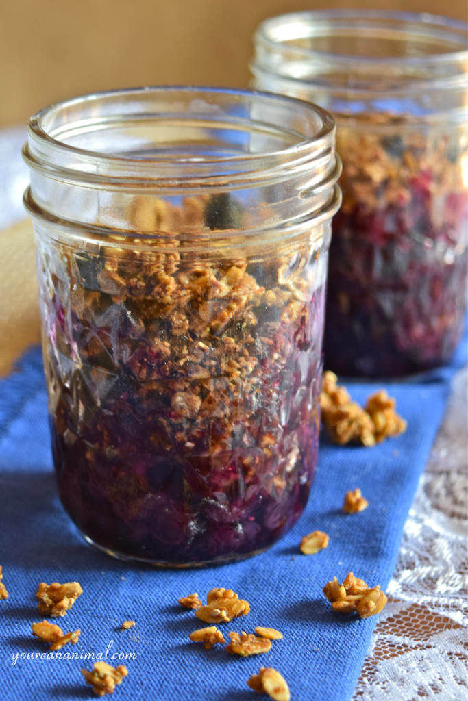 Gluten Free Vegan Paleo Individual Blueberry Crisp