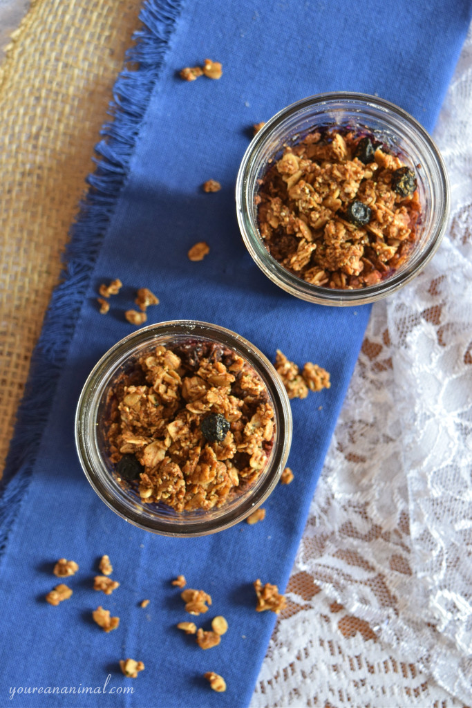 Gluten Free Vegan Paleo Individual Blueberry Crisp