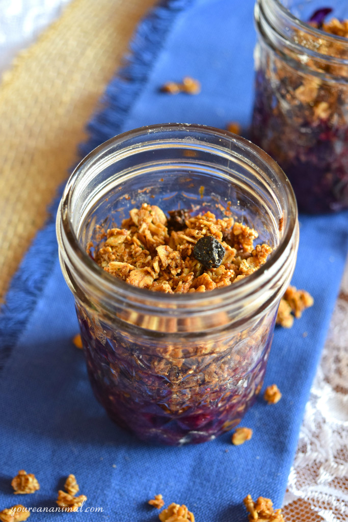 Gluten Free Vegan Paleo Individual Blueberry Crisp