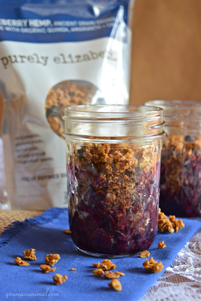 Gluten Free Vegan Paleo Individual Blueberry Crisp Purely Elizabeth Granola