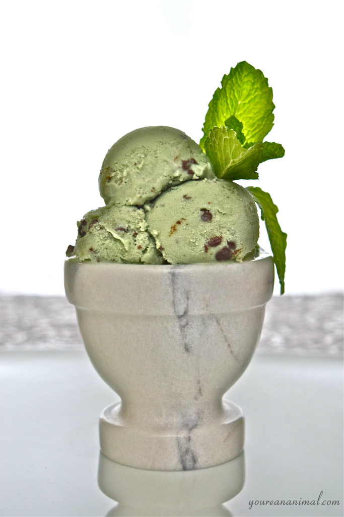 Dairy Free Paleo Mint Chocolate Chip Ice Cream