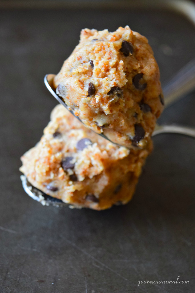 Gluten Free Paleo Nut Free Edible Cookie Dough For Two