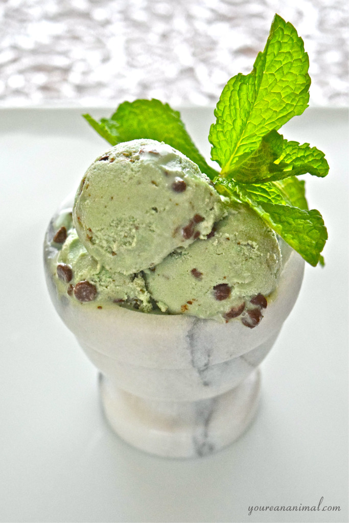 Dairy Free Paleo Mint Chocolate Chip Ice Cream