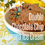 double-chocolate-chip-banana-ice-cream