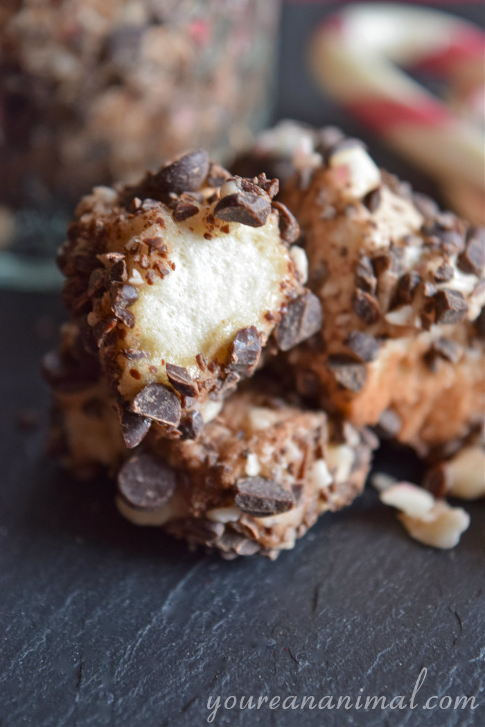 Chocolate Covered Peppermint Marshmallows (Made with Honey)
