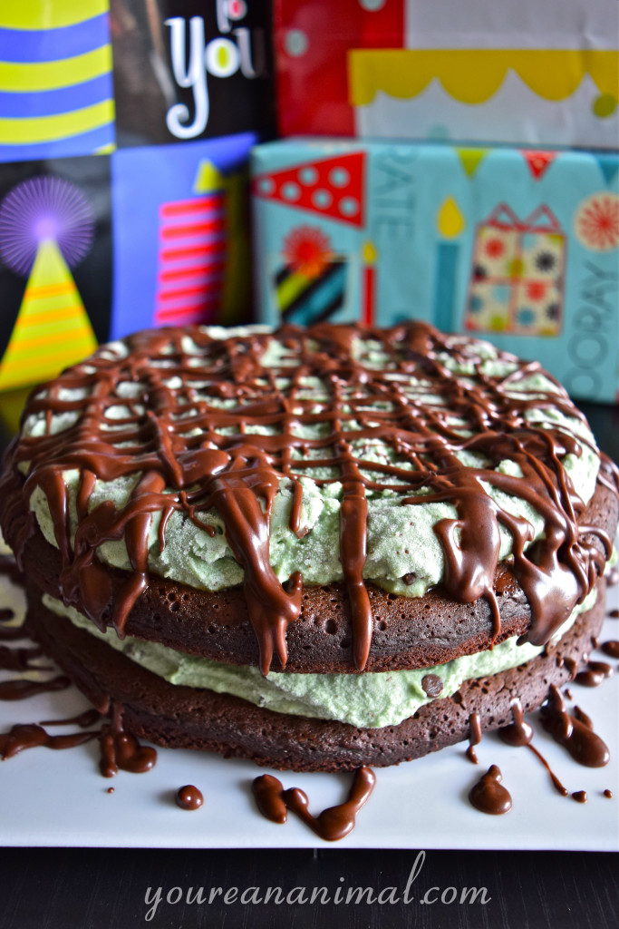 Brownie and Mint Chocolate Chip Ice Cream Cake (Gluten-Free, Dairy-Free, White Sugar-Free). Let's celebrate!