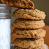 Gluten-Free Grain-Free Nut-Free Ultimate Chocolate Chip Cookies