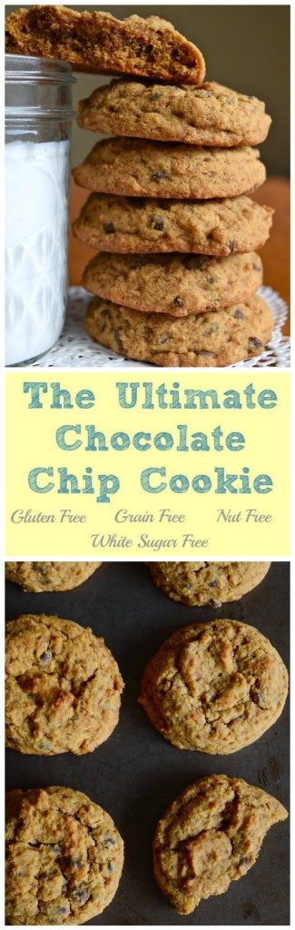 Gluten Free Grain Free Nut Free Ultimate Chocolate Chip Cookie