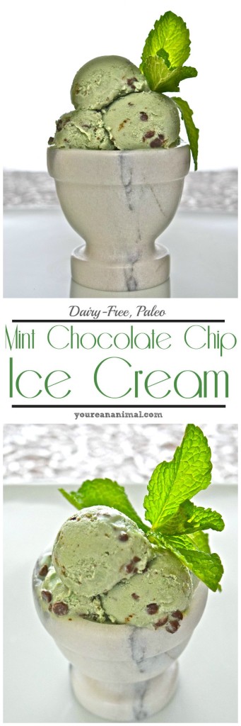 Dairy Free Paleo Mint Chocolate Chip Ice Cream