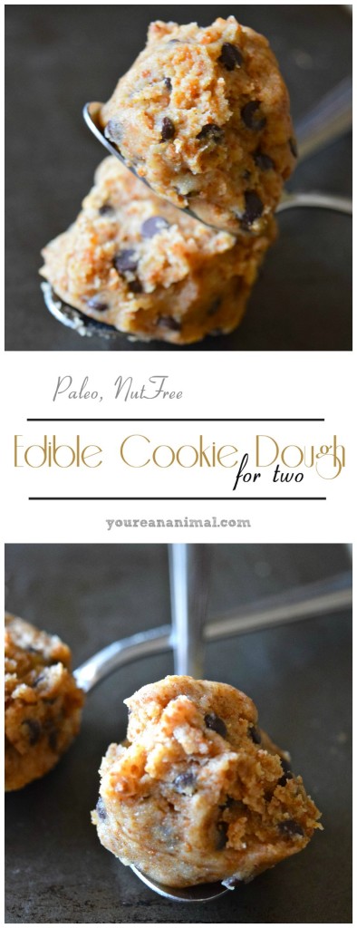 Gluten Free Paleo Nut Free Edible Cookie Dough For Two