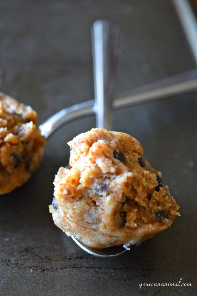 Gluten Free Paleo Nut Free Edible Cookie Dough For Two